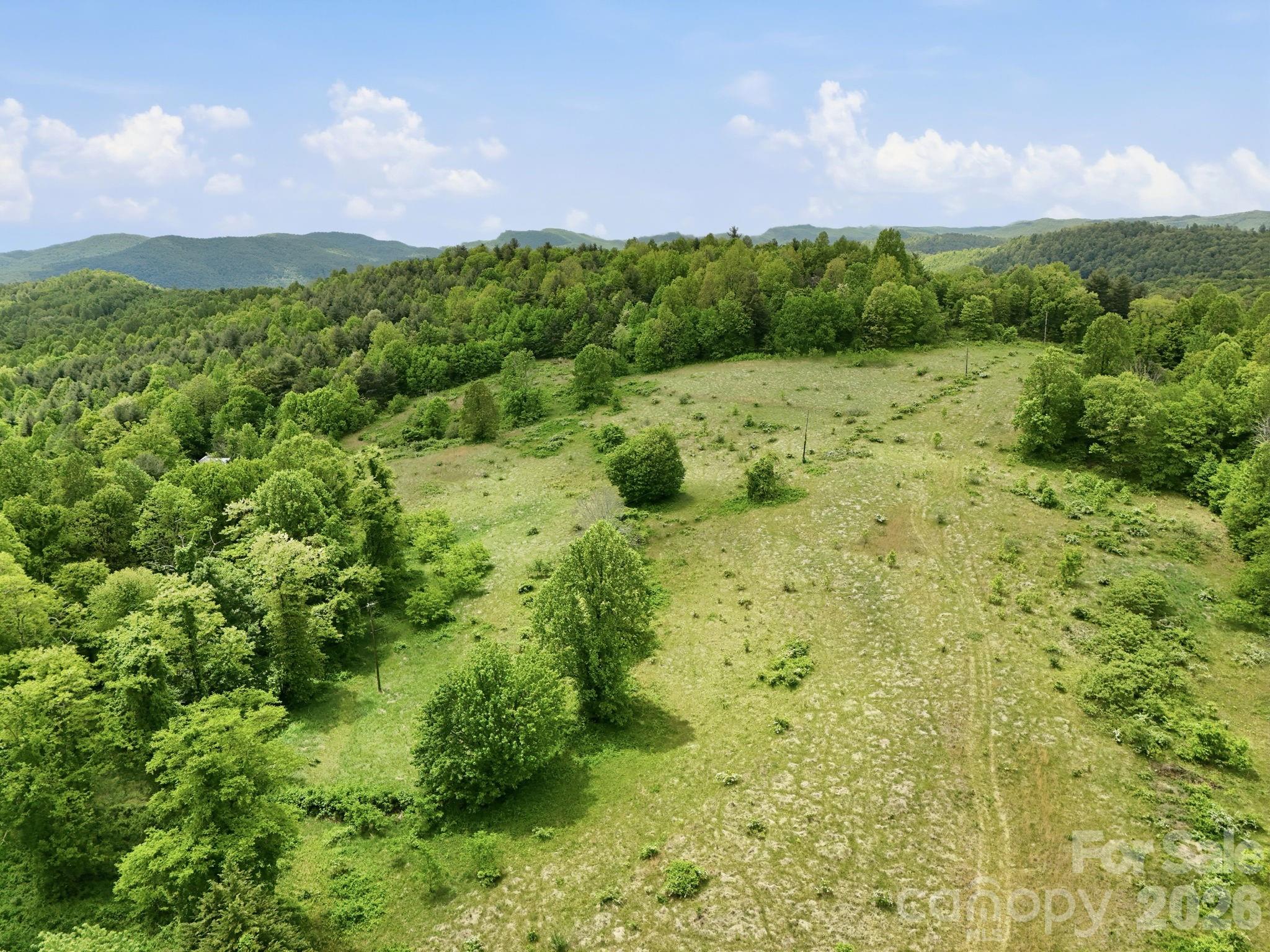 4105 Pinnacle Mountain Road Zirconia NC 28790