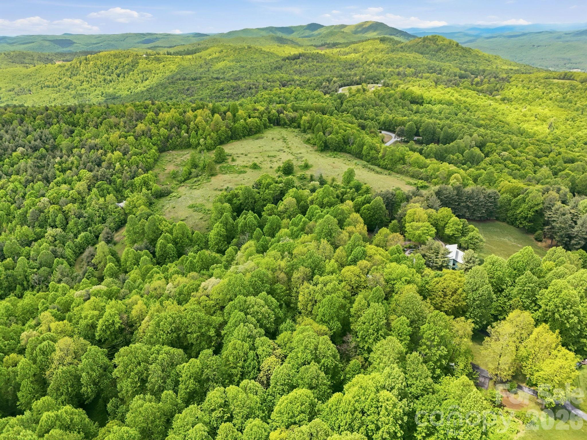 4105 Pinnacle Mountain Road Zirconia NC 28790