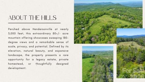 4105 Pinnacle Mountain Road Zirconia NC 28790