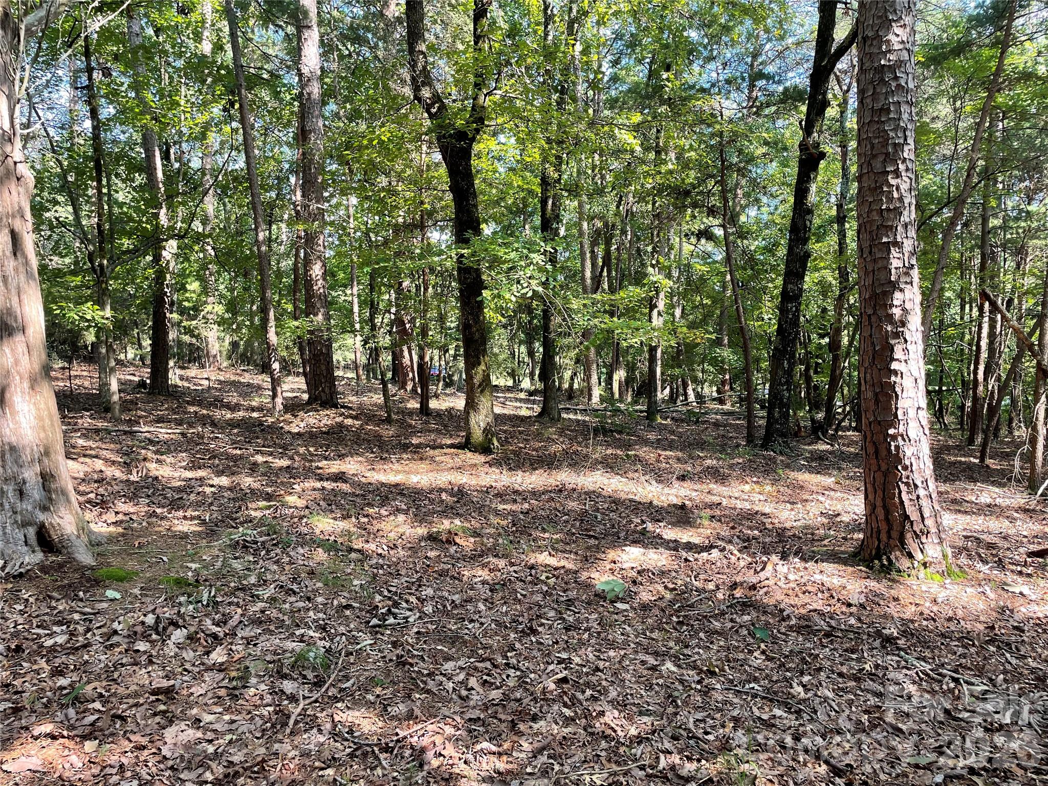 135 Deep Water Court New London NC 28127