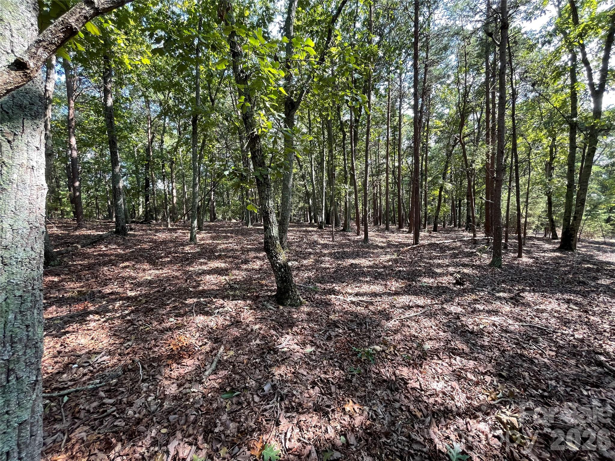 135 Deep Water Court New London NC 28127