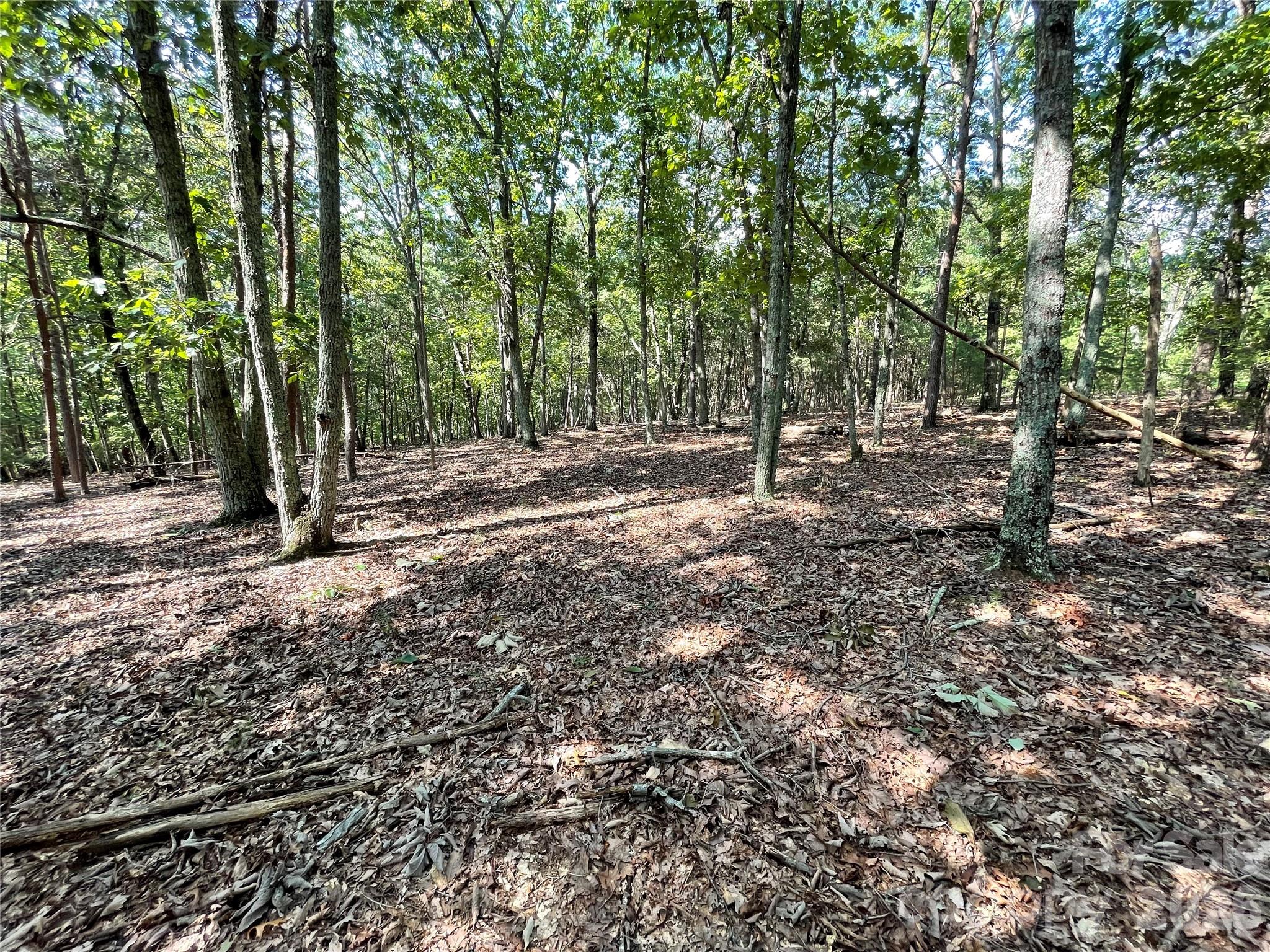 135 Deep Water Court New London NC 28127