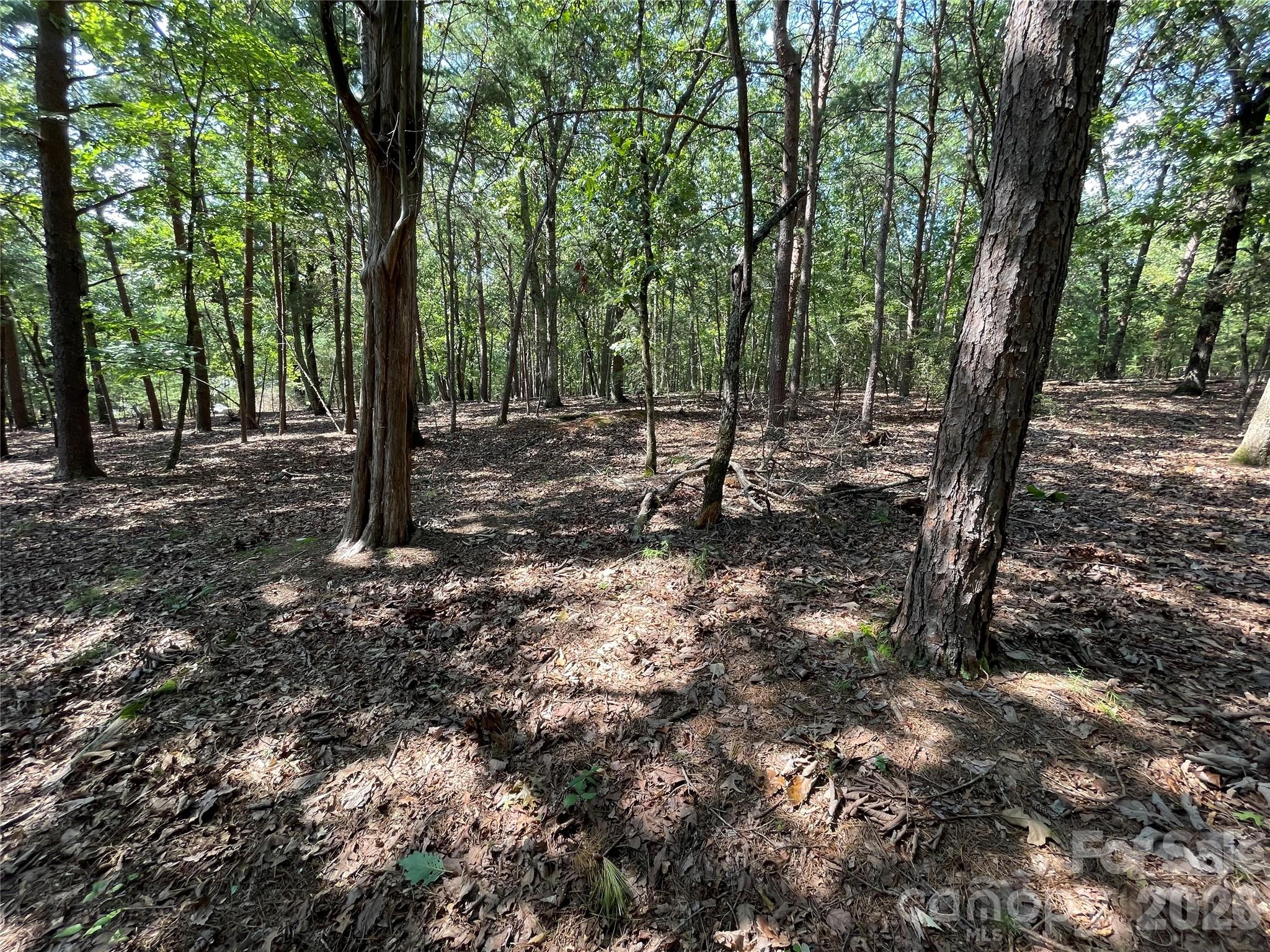 135 Deep Water Court New London NC 28127