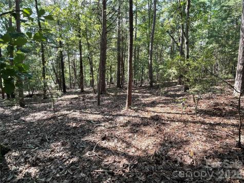 135 Deep Water Court New London NC 28127