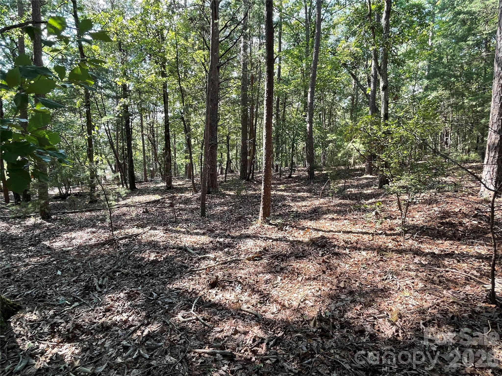 135 Deep Water Court New London NC 28127