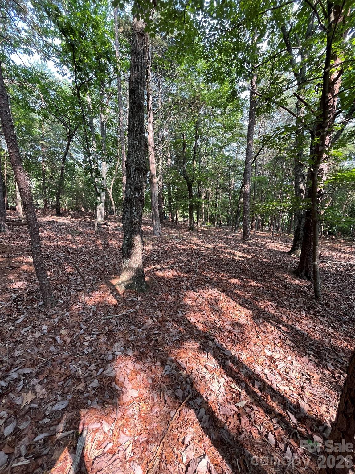 135 Deep Water Court New London NC 28127