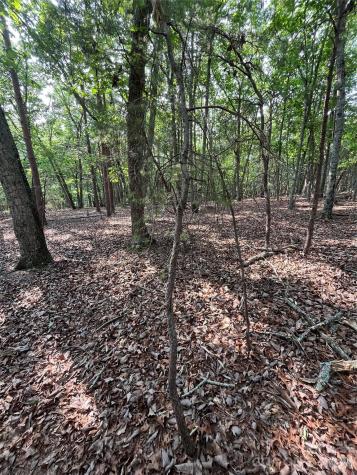 135 Deep Water Court New London NC 28127