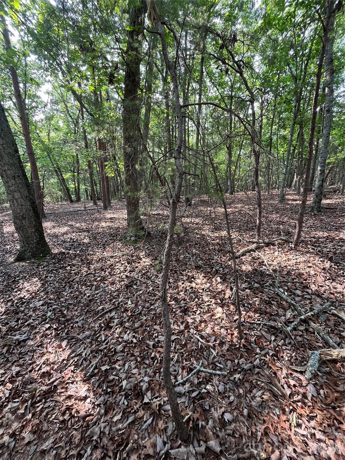135 Deep Water Court New London NC 28127
