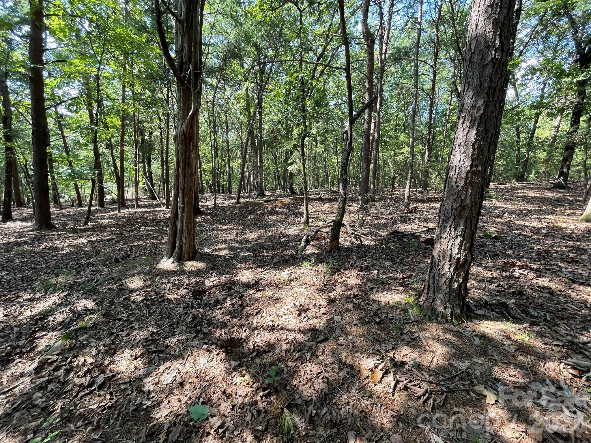 135 Deep Water Court New London NC 28127