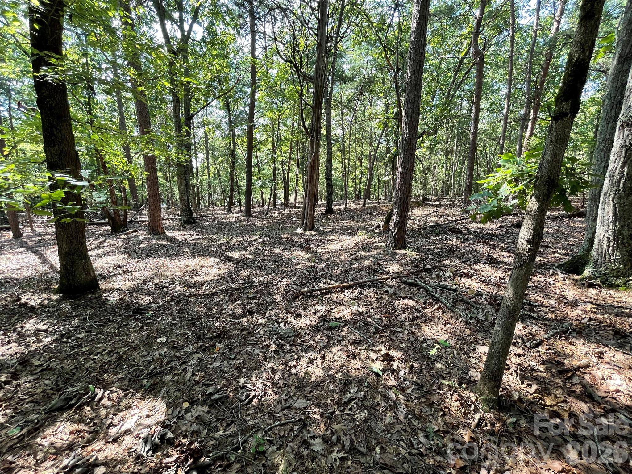 135 Deep Water Court New London NC 28127