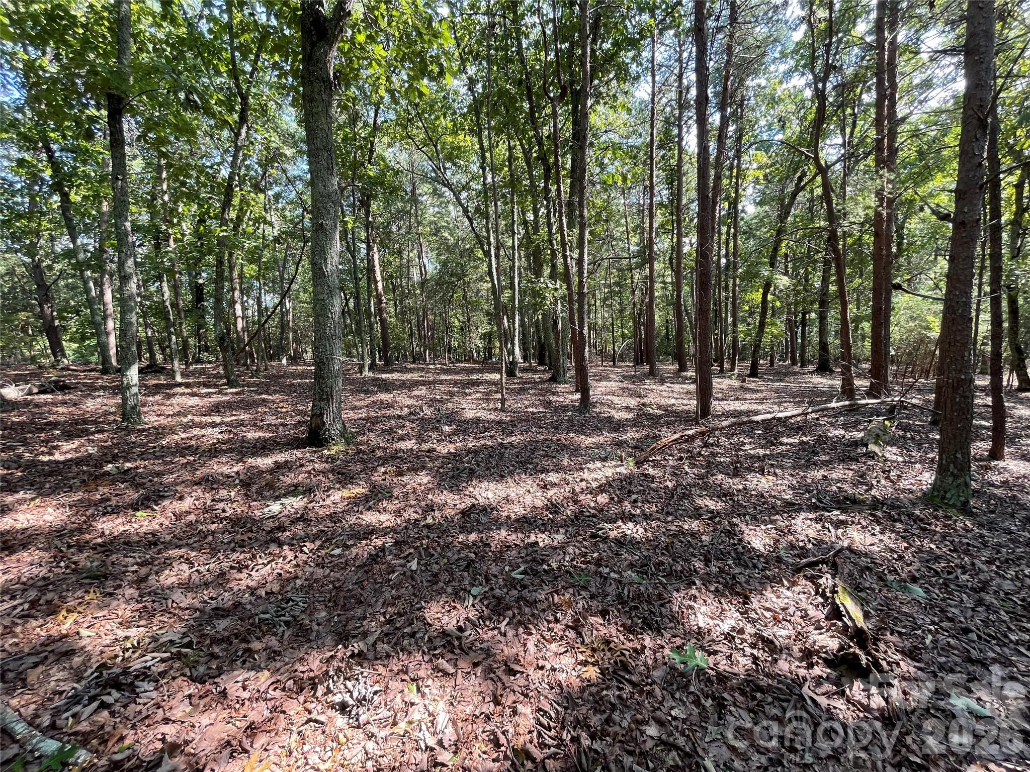 135 Deep Water Court New London NC 28127