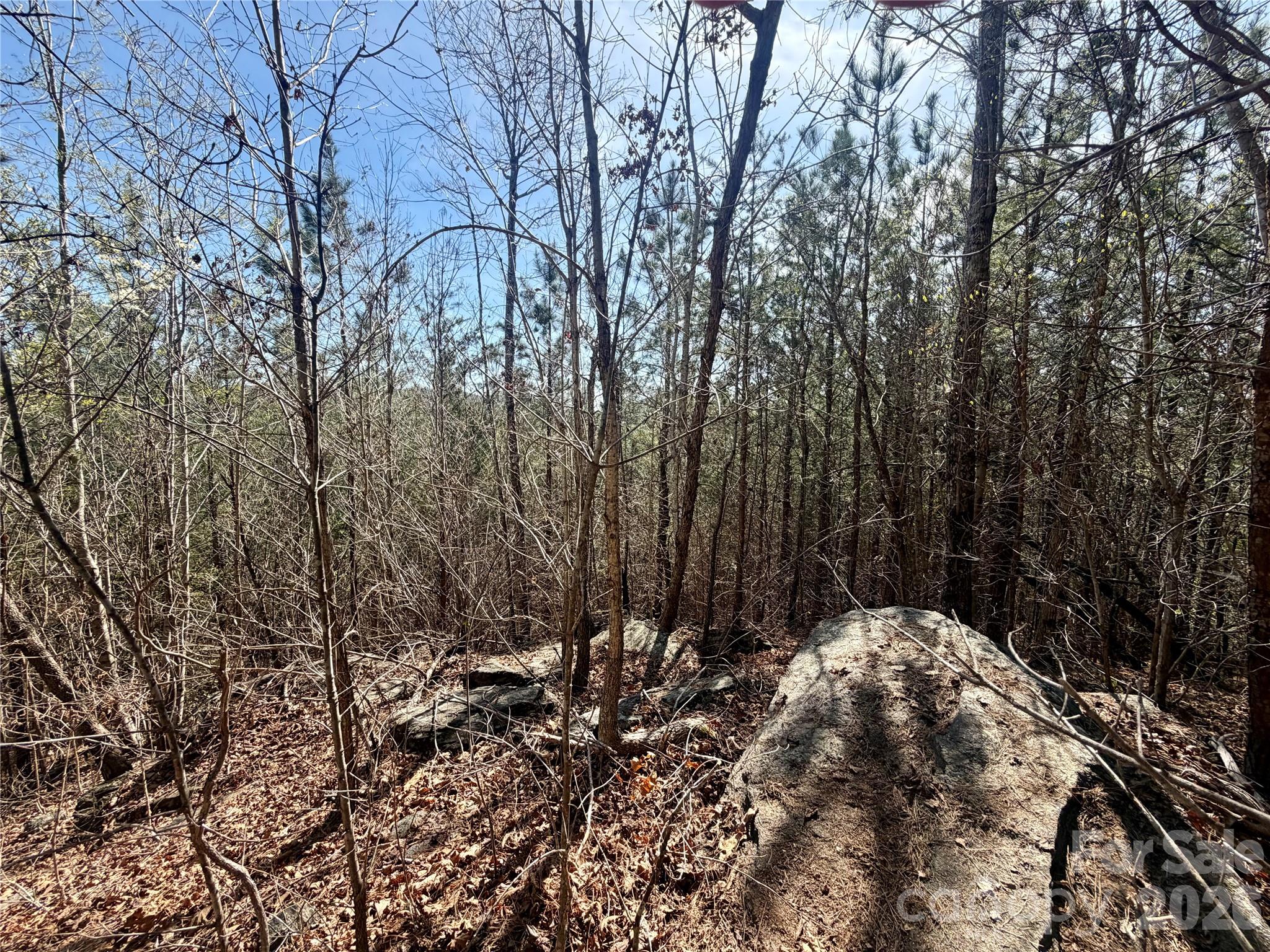 00 Nc Highway 226 Highway Bostic NC 28018