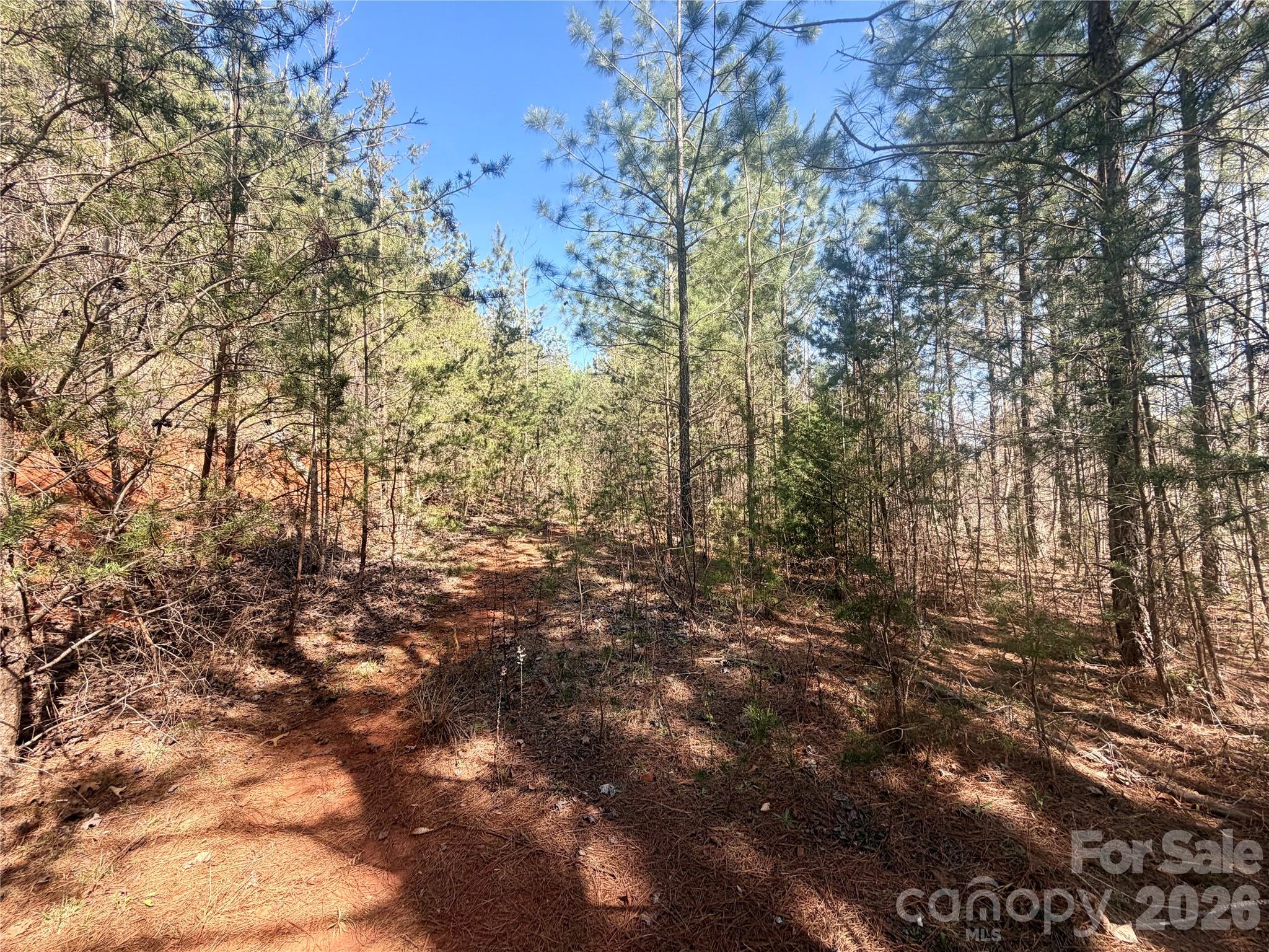 00 Nc Highway 226 Highway Bostic NC 28018