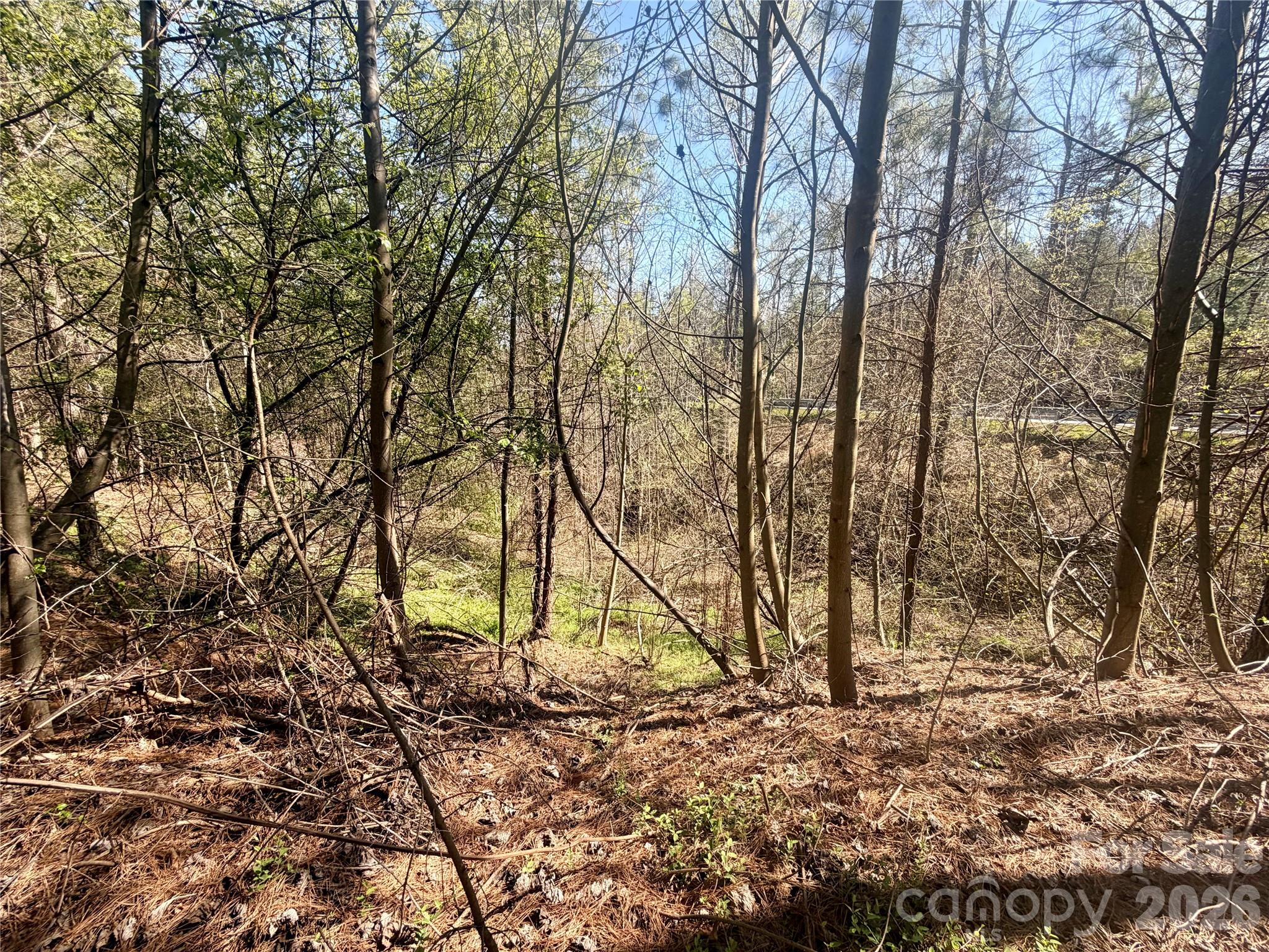 00 Nc Highway 226 Highway Bostic NC 28018