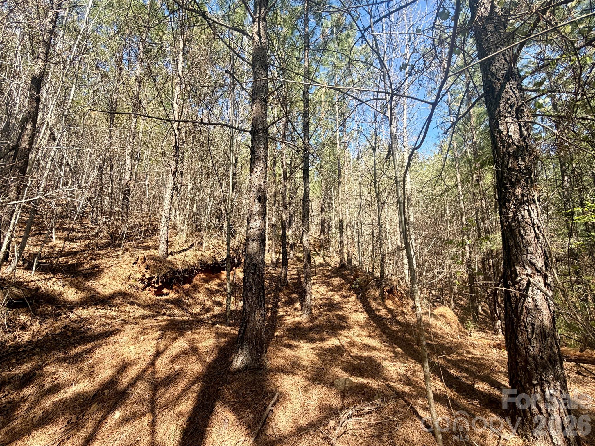 00 Nc Highway 226 Highway Bostic NC 28018