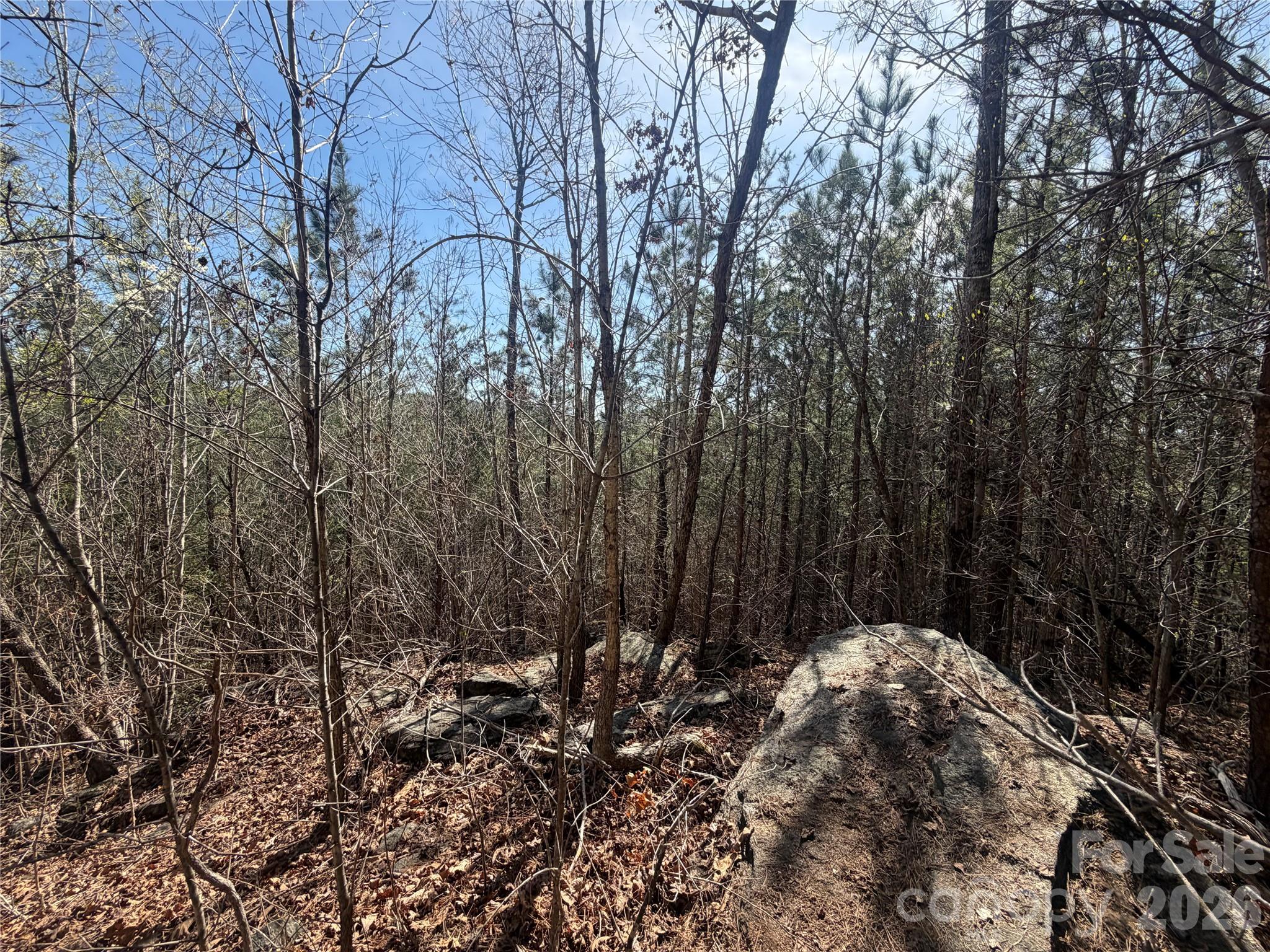 00 Nc Highway 226 Highway Bostic NC 28018