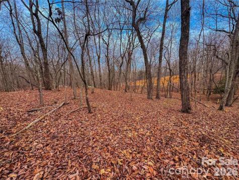 750 Palisade Trail Denton NC 27239