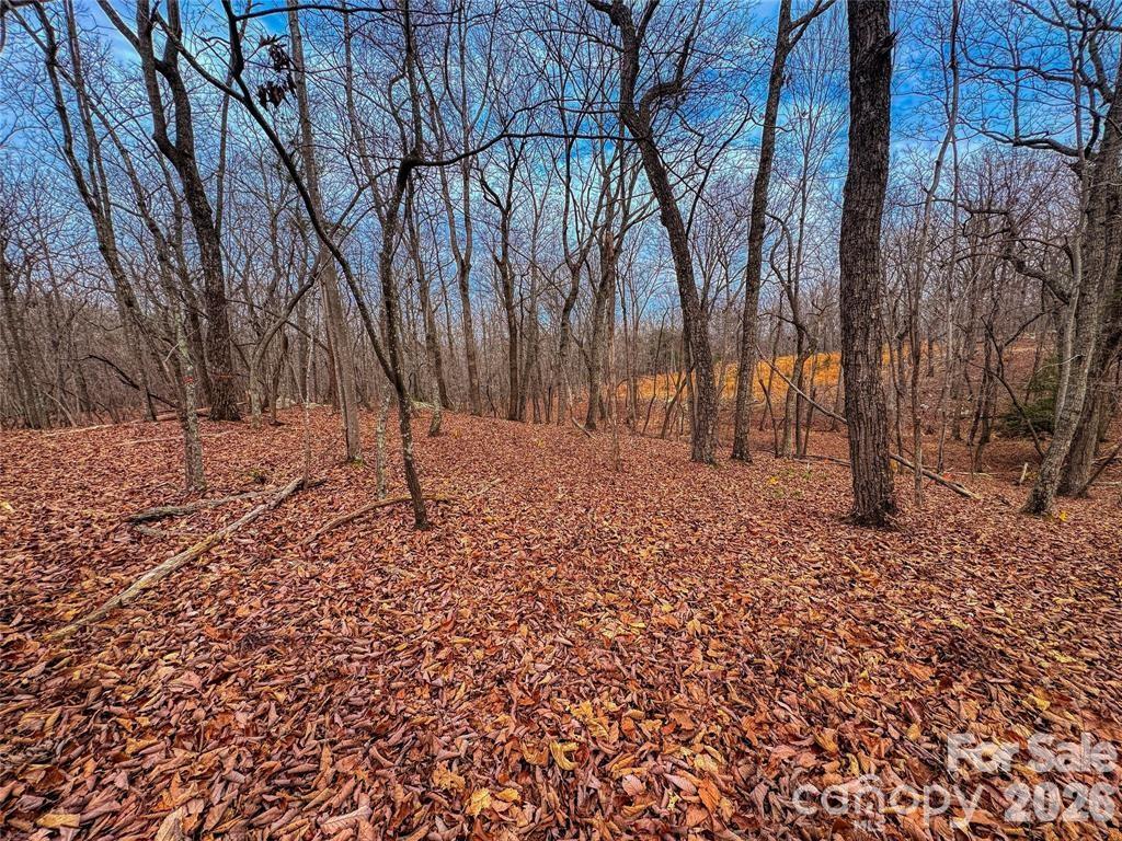 750 Palisade Trail Denton NC 27239