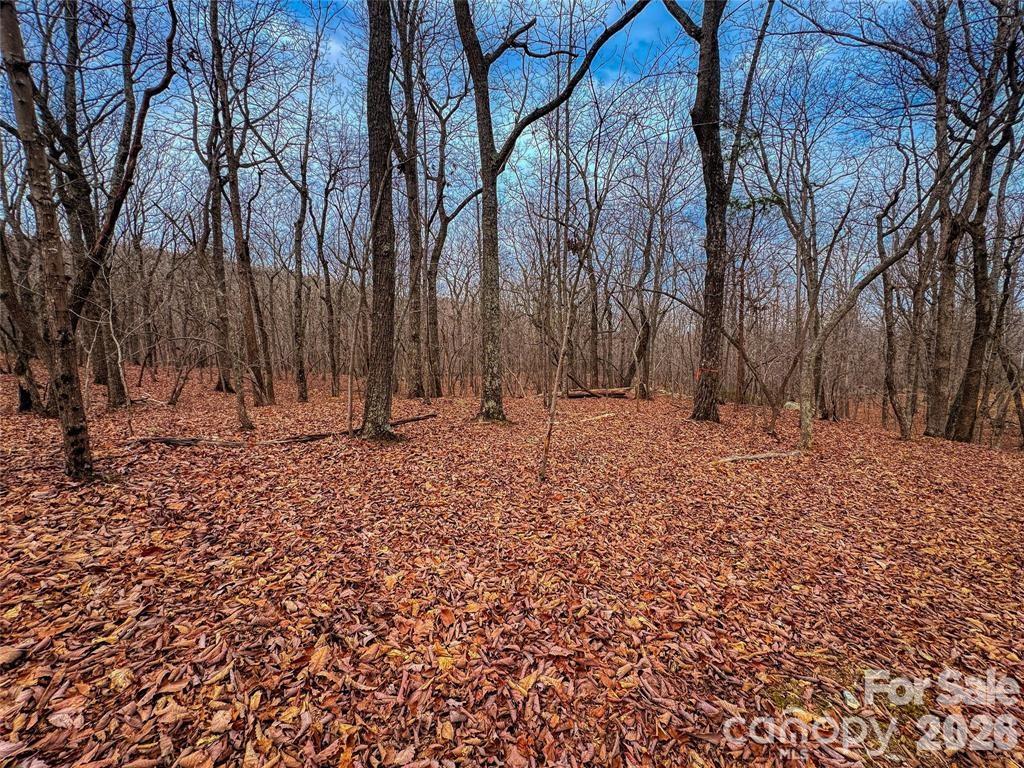750 Palisade Trail Denton NC 27239