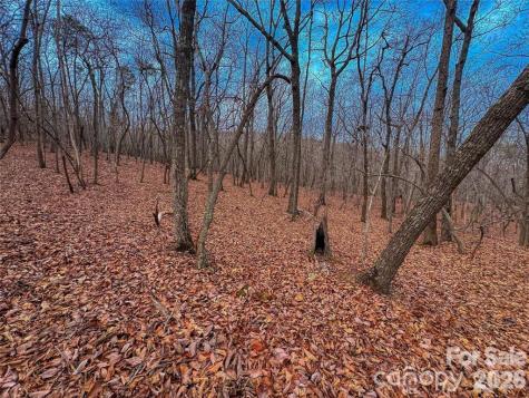 750 Palisade Trail Denton NC 27239