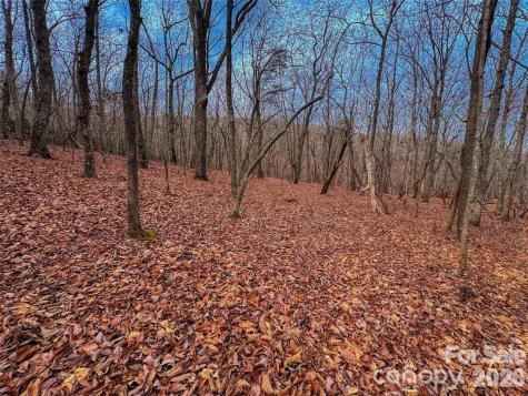 750 Palisade Trail Denton NC 27239