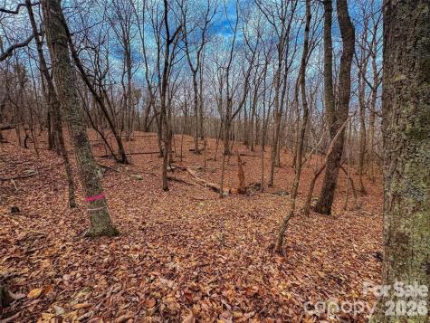 750 Palisade Trail Denton NC 27239