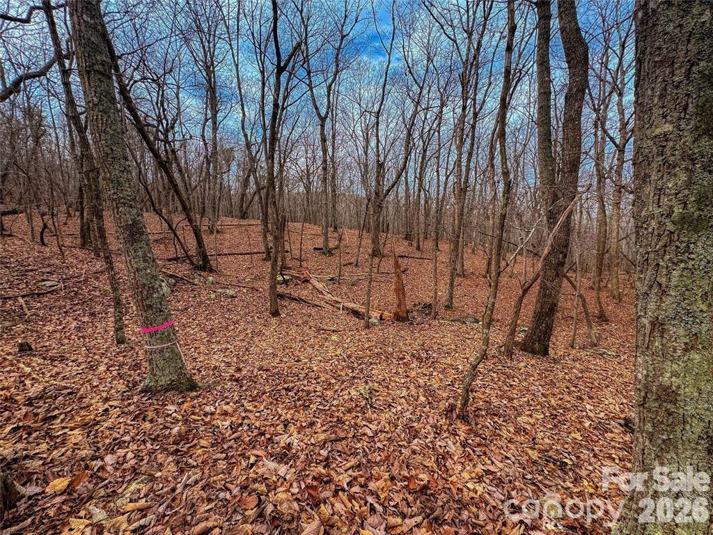 750 Palisade Trail Denton NC 27239