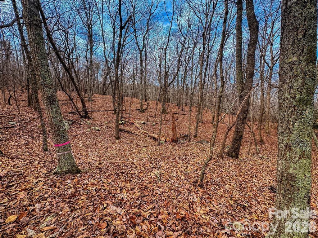 750 Palisade Trail Denton NC 27239