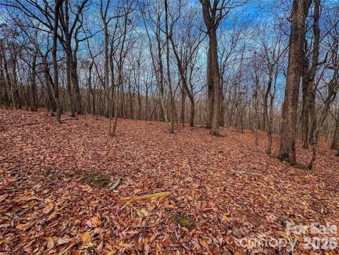 750 Palisade Trail Denton NC 27239