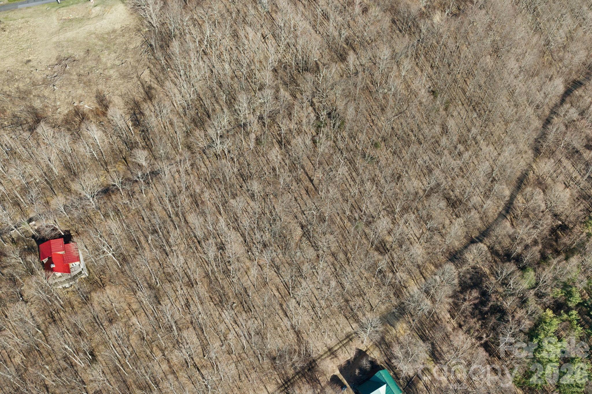 Tbd Lauren Lane West Jefferson NC 28694