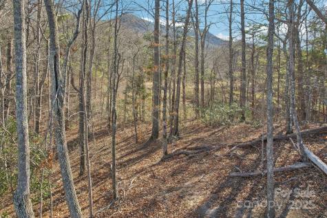 231 Eula Parker Road Old Fort NC 28762