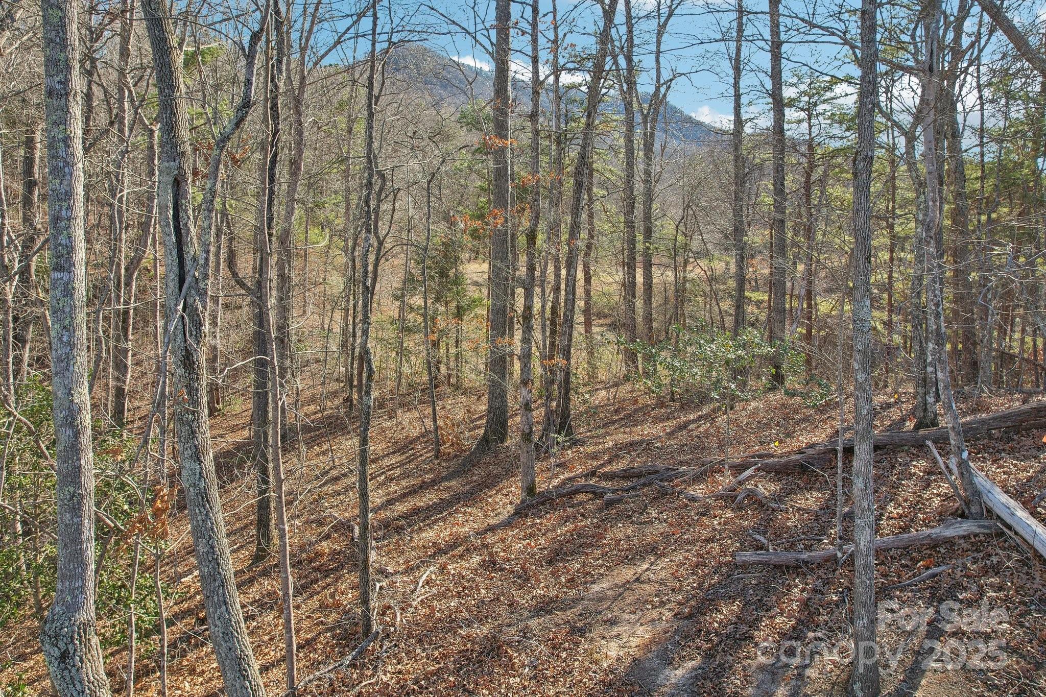 231 Eula Parker Road Old Fort NC 28762
