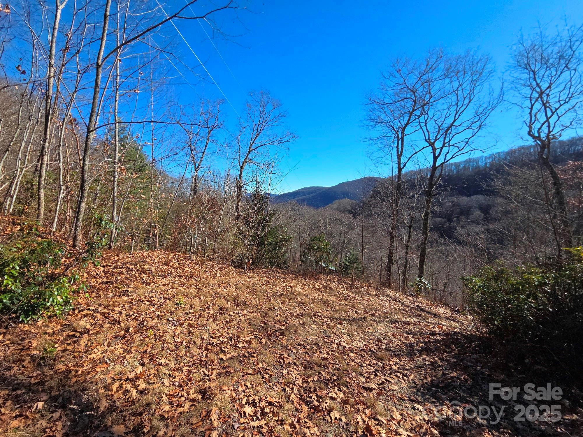 720 Autumn Drive Maggie Valley NC 28751