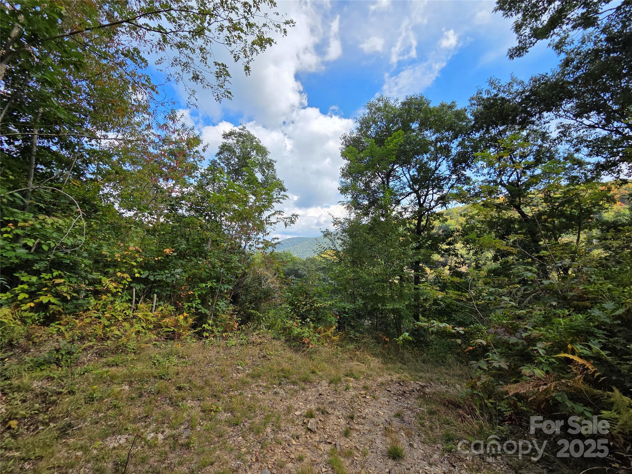 720 Autumn Drive Maggie Valley NC 28751