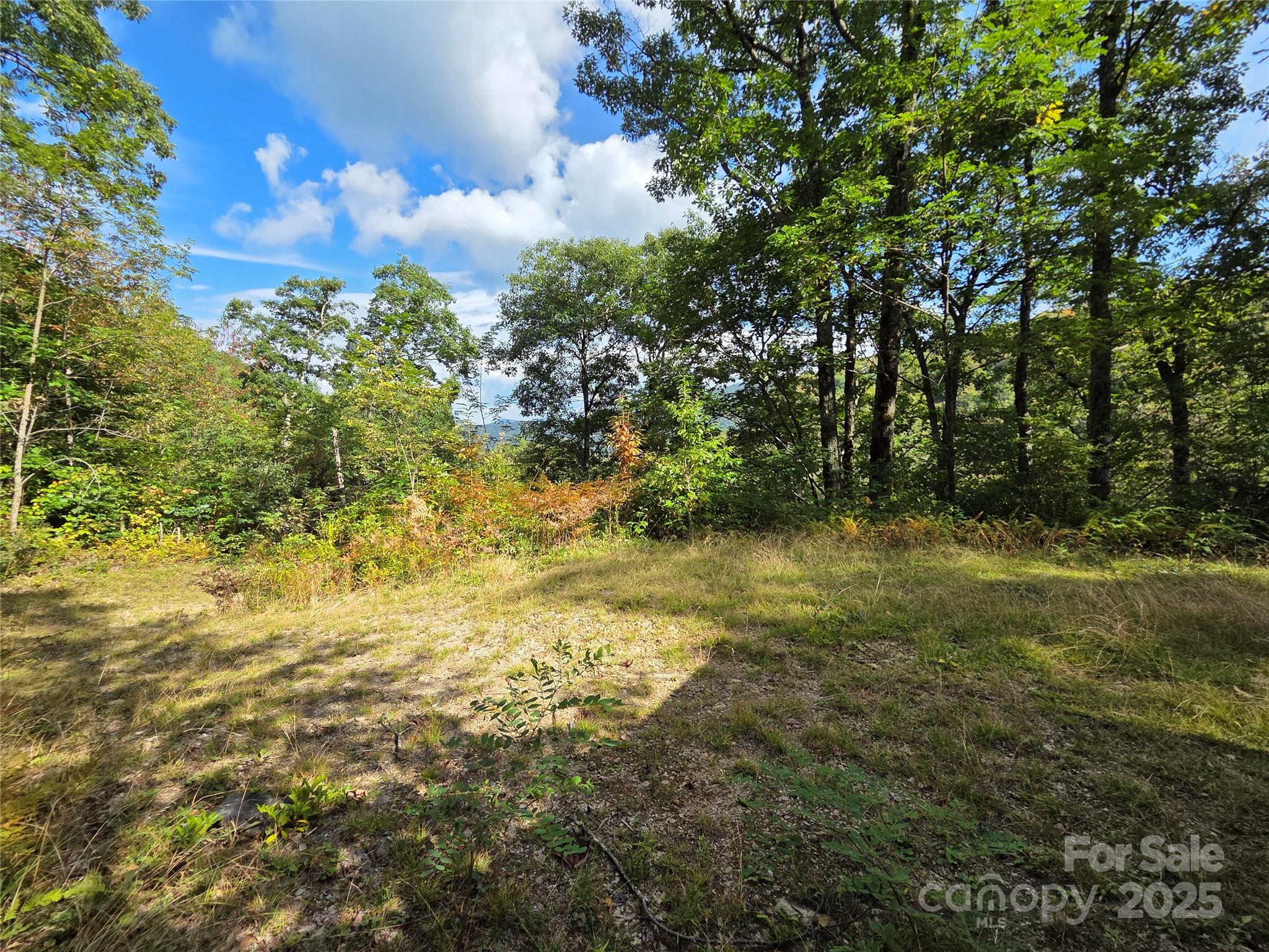 720 Autumn Drive Maggie Valley NC 28751
