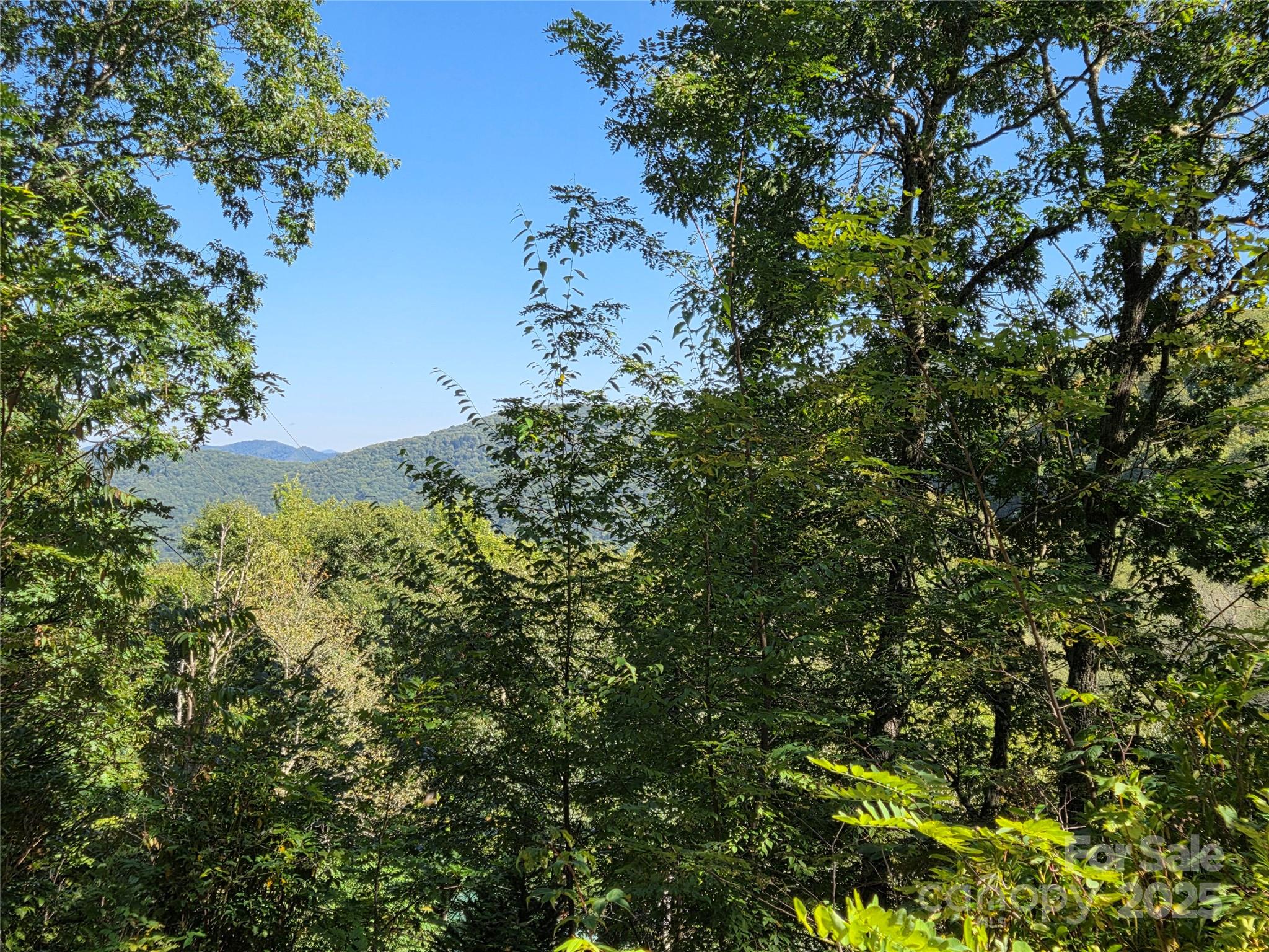 720 Autumn Drive Maggie Valley NC 28751
