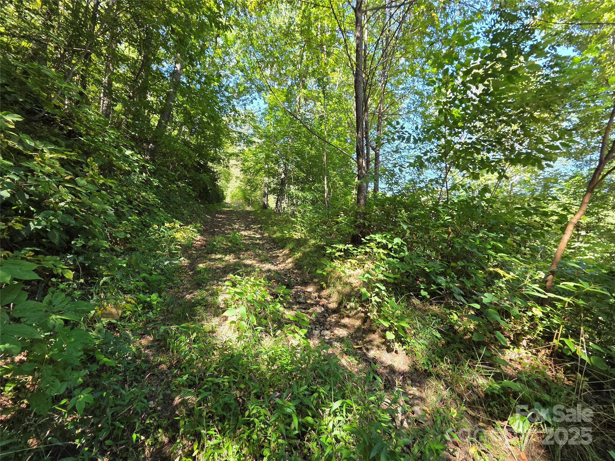 720 Autumn Drive Maggie Valley NC 28751