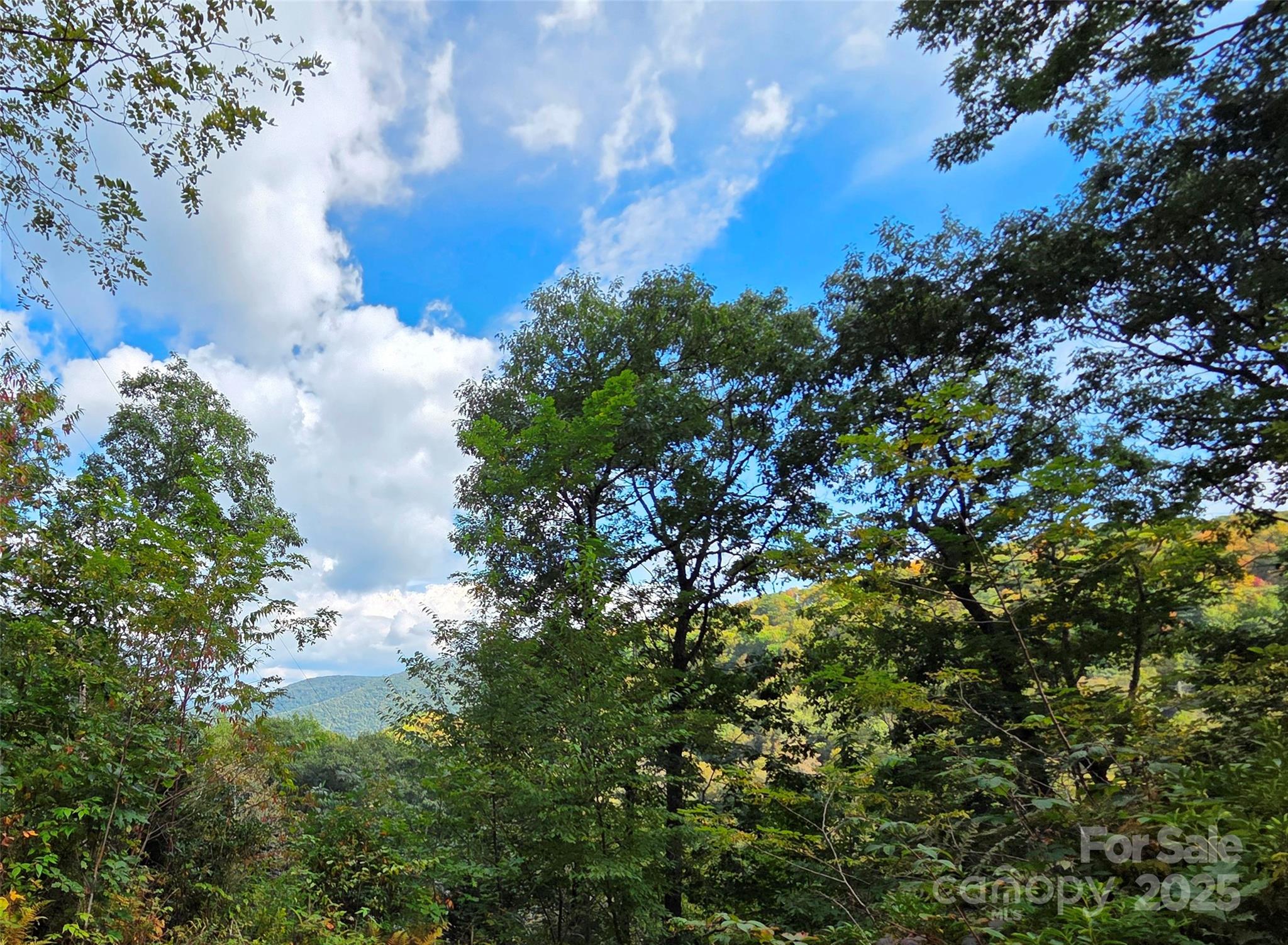 720 Autumn Drive Maggie Valley NC 28751