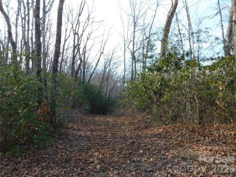 154 Laurel Thicket Drive Brevard NC 28712