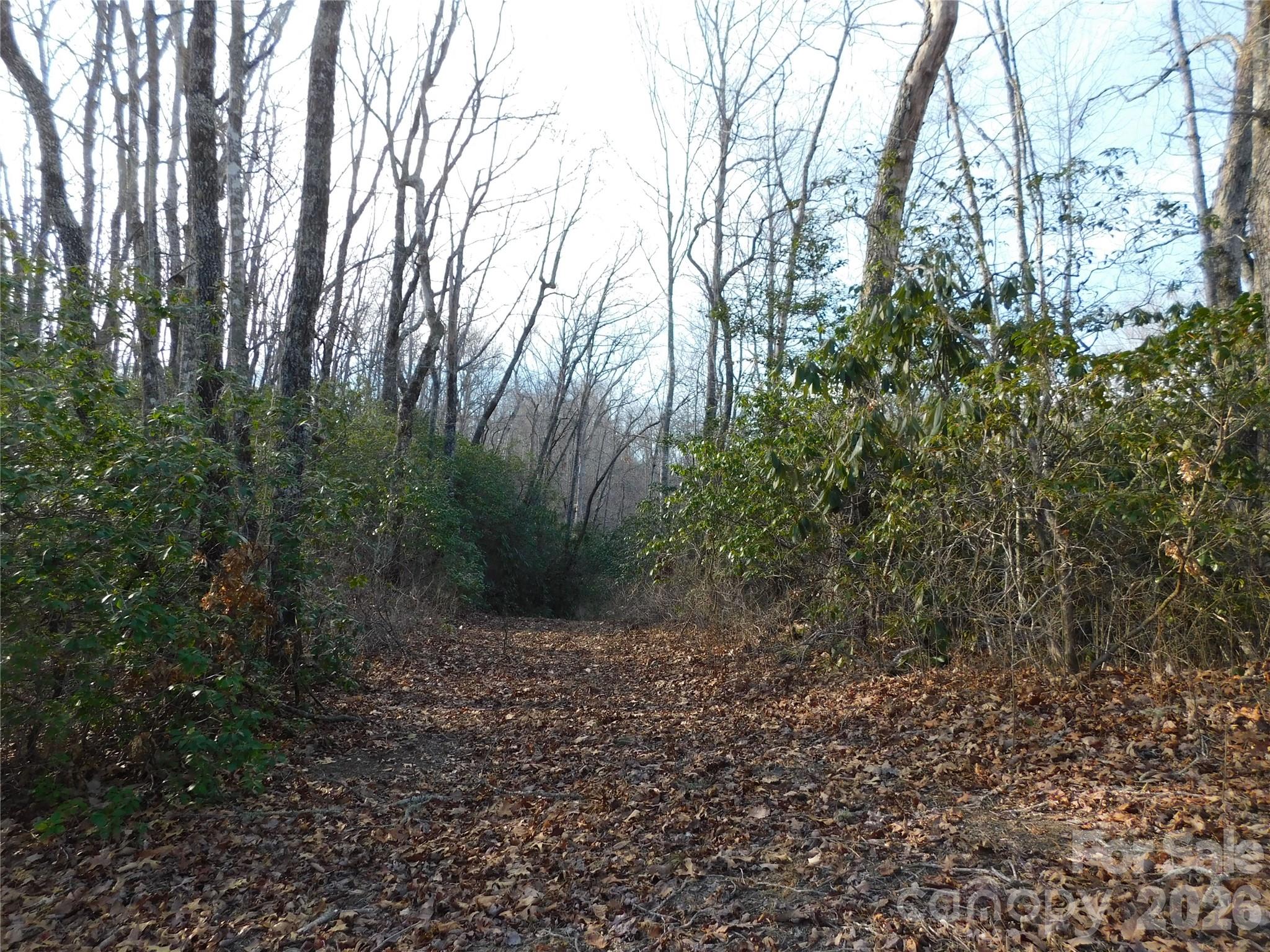 154 Laurel Thicket Drive Brevard NC 28712