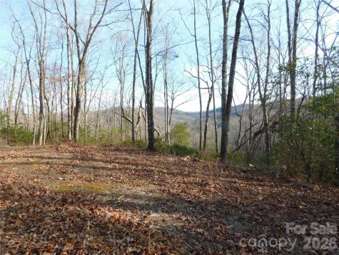 154 Laurel Thicket Drive Brevard NC 28712