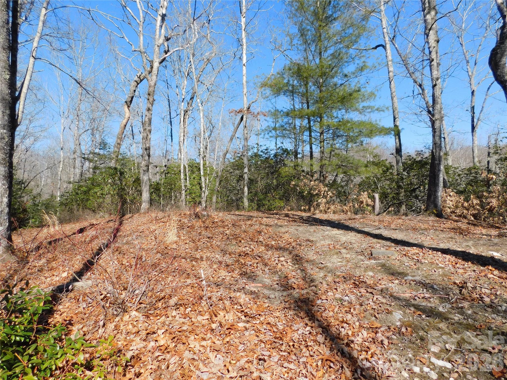 154 Laurel Thicket Drive Brevard NC 28712
