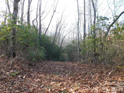154 Laurel Thicket Drive Brevard NC 28712