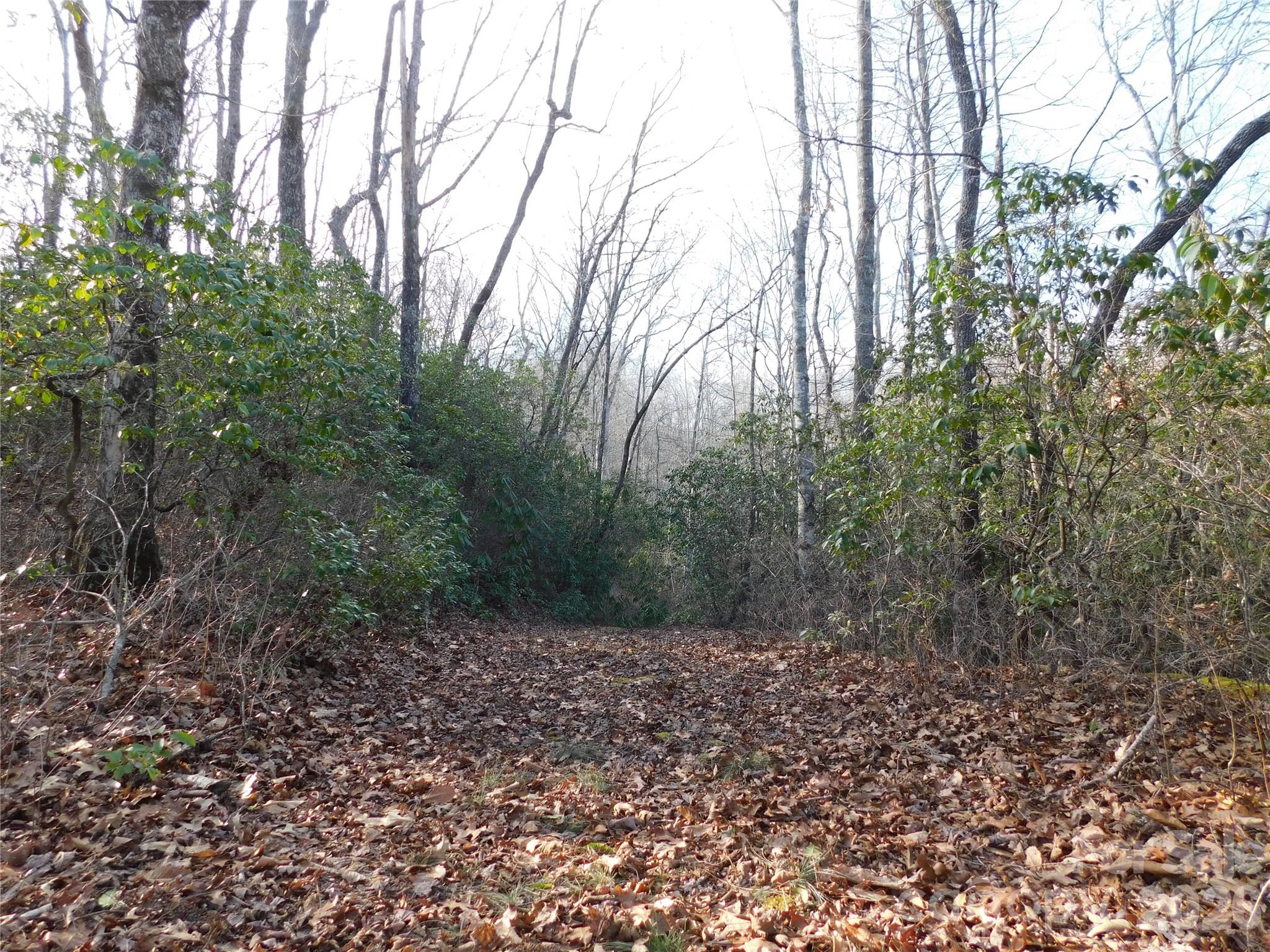 154 Laurel Thicket Drive Brevard NC 28712