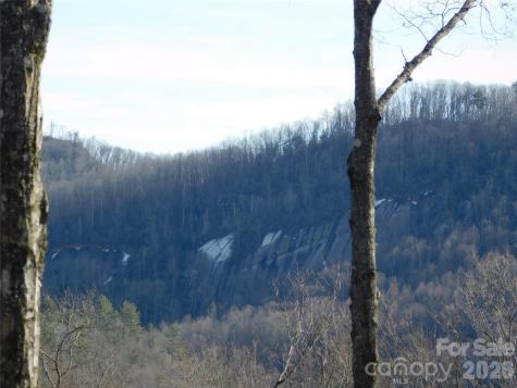 154 Laurel Thicket Drive Brevard NC 28712
