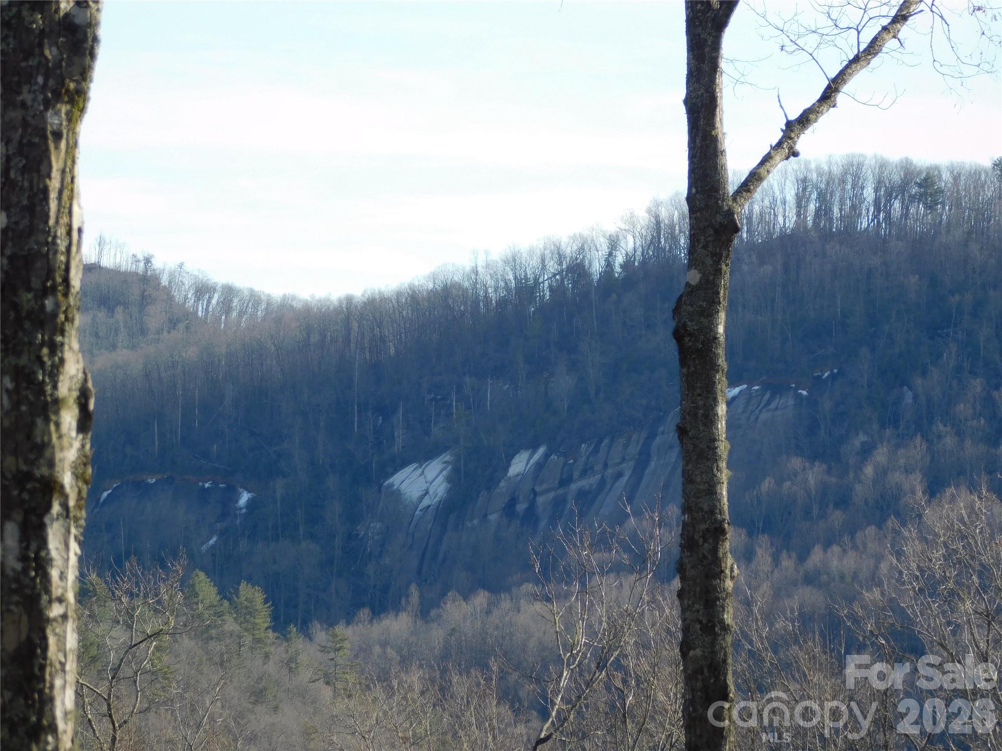 154 Laurel Thicket Drive Brevard NC 28712