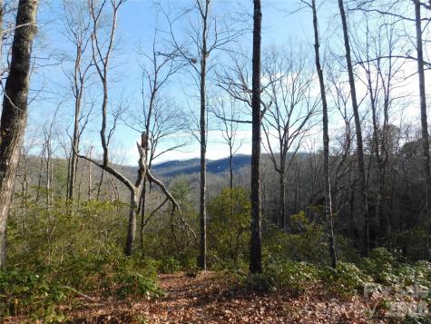 154 Laurel Thicket Drive Brevard NC 28712