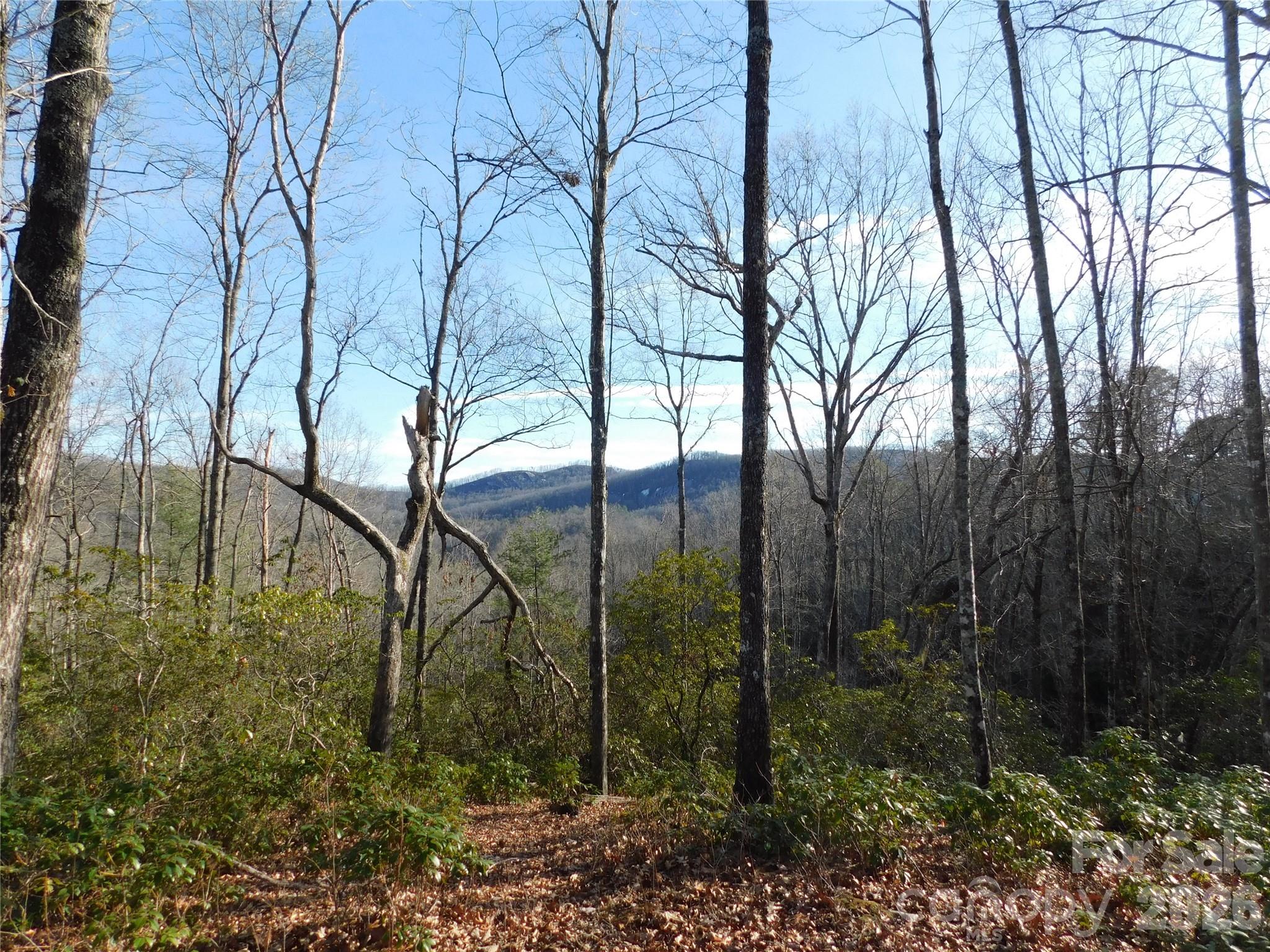 154 Laurel Thicket Drive Brevard NC 28712
