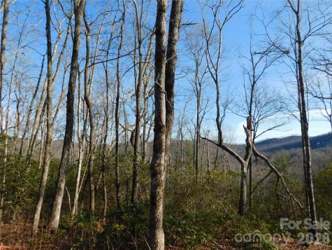 154 Laurel Thicket Drive Brevard NC 28712