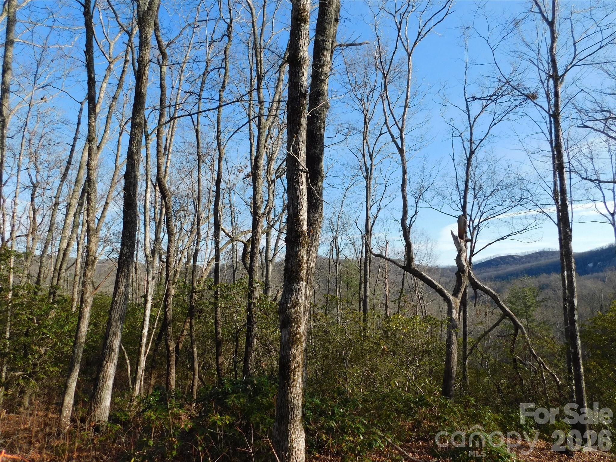 154 Laurel Thicket Drive Brevard NC 28712